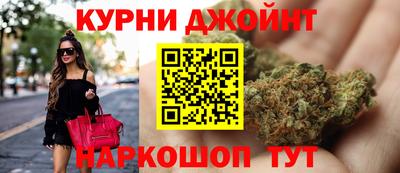 прущие крисы Кингисепп