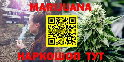 прущие крисы Кингисепп