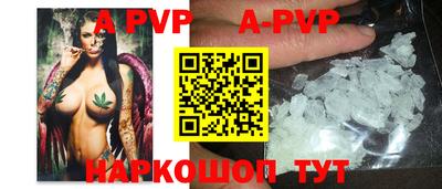 прущие крисы Кингисепп