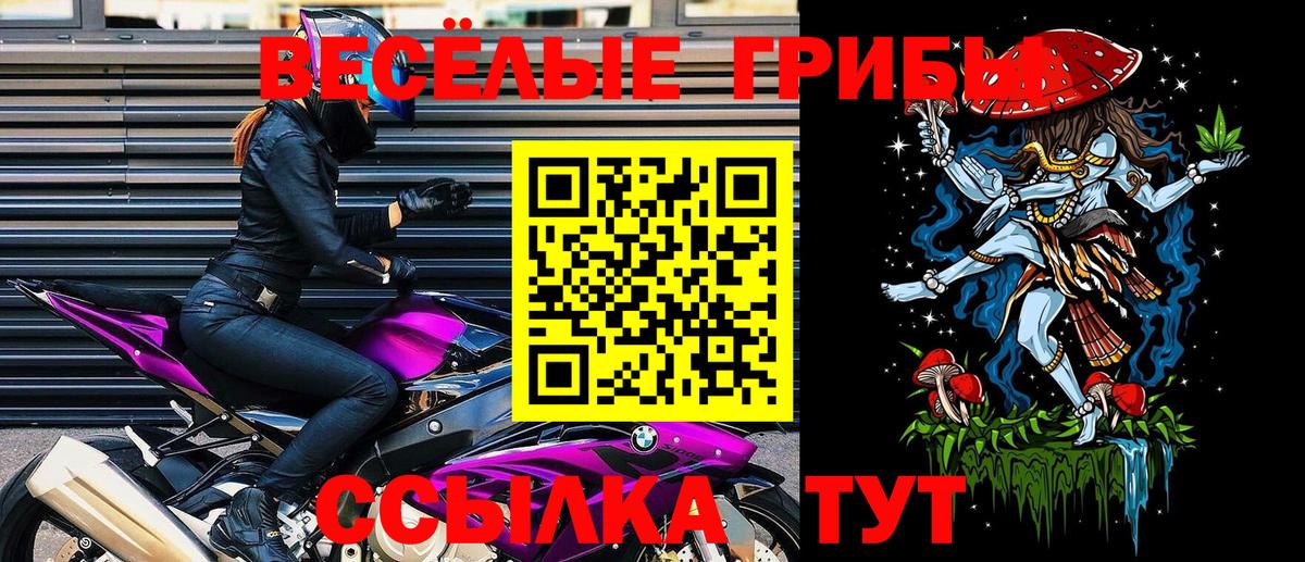 купить  цена  Галлюциногенные грибы прущие грибы  Псилоцибиновые грибы ЛСД  Вход с VPN  Янаул 